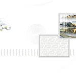 Gạch ốp Porcelain FP948.650D