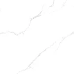 Gạch lát Porcelain LX6602