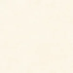 Gạch lát Porcelain LX6605